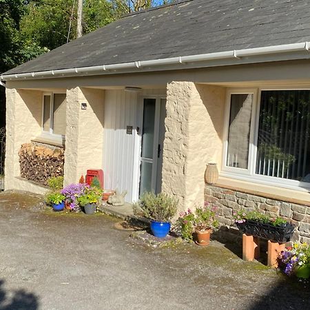 Beautiful Renovated Former Coach House Llandeilo Kültér fotó